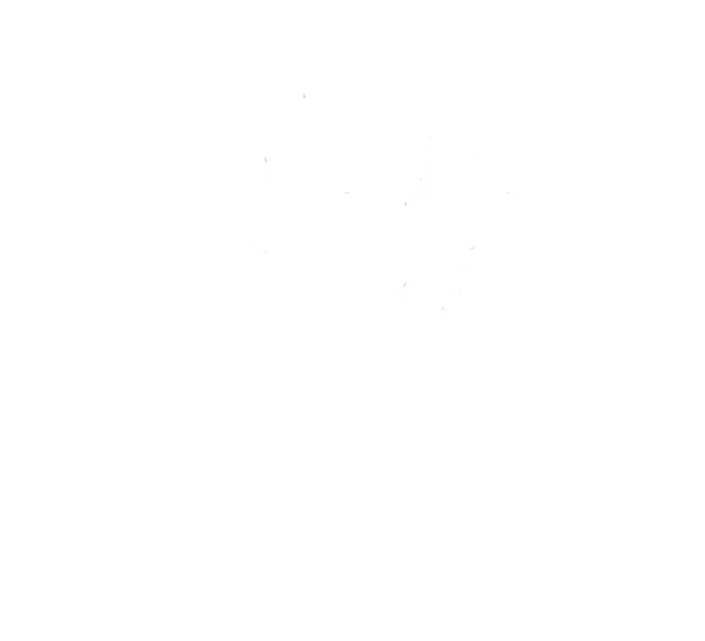 Jana Stamm